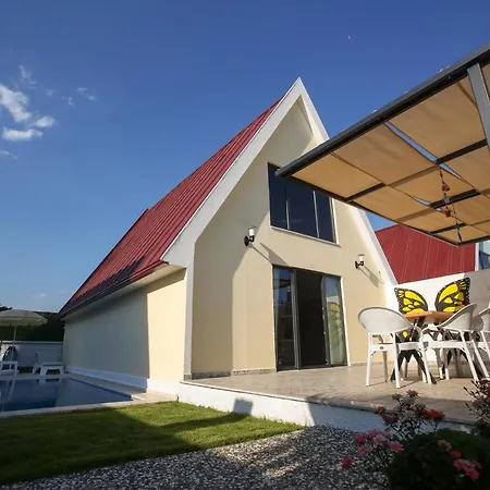 Vila Vega Villalari *